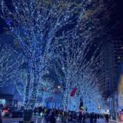 ヒメ日記 2025/12/14 04:49 投稿 あすか【齋藤〇鳥似な敏感素人】 STELLA NEXT－ステラネクスト－