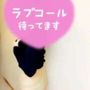 ヒメ日記 2025/12/11 14:04 投稿 えりか【新人奥様】 癒し妻 札幌店