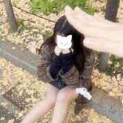 かほ★K-POP系キス好きJD 全部ちょーだい？ Chloe五反田本店　S級素人清楚系デリヘル