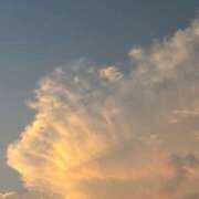 ヒメ日記 2025/11/13 01:47 投稿 ふう☆本日体験ちゃん JKサークル