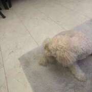 ヒメ日記 2026/01/12 18:18 投稿 ふう☆本日体験ちゃん JKサークル