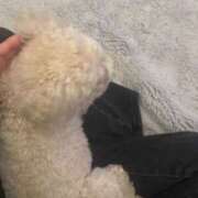 ヒメ日記 2026/02/04 08:01 投稿 ふう☆本日体験ちゃん JKサークル