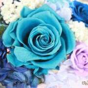 ヒメ日記 2025/11/15 22:53 投稿 涼子　りょうこ 本庄人妻城