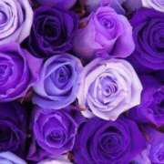 ヒメ日記 2025/11/16 23:41 投稿 涼子　りょうこ 本庄人妻城