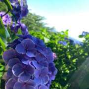 ヒメ日記 2025/11/20 23:35 投稿 涼子　りょうこ 本庄人妻城