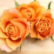 ヒメ日記 2026/01/06 22:22 投稿 涼子　りょうこ 本庄人妻城