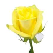 ヒメ日記 2026/02/12 22:32 投稿 涼子　りょうこ 本庄人妻城