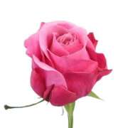 ヒメ日記 2026/02/17 23:15 投稿 涼子　りょうこ 本庄人妻城