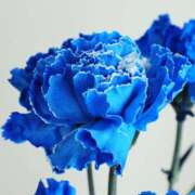 ヒメ日記 2026/02/20 22:31 投稿 涼子　りょうこ 本庄人妻城