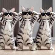 ヒメ日記 2025/12/15 13:15 投稿 せな CLASSY（クラッシー）.神戸