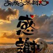 ヒメ日記 2025/12/31 11:00 投稿 せな CLASSY（クラッシー）.神戸