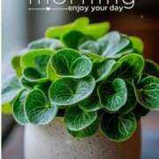 ヒメ日記 2026/02/23 10:30 投稿 せな CLASSY（クラッシー）.神戸