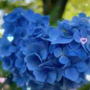ヒメ日記 2026/06/13 12:30 投稿 せな CLASSY（クラッシー）.神戸
