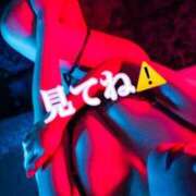 ヒメ日記 2025/12/11 13:06 投稿 れおな 変態なんでも鑑定団