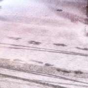 ヒメ日記 2026/01/02 20:26 投稿 れおな 変態なんでも鑑定団