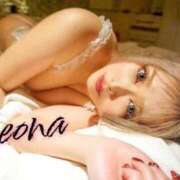 ヒメ日記 2026/03/14 01:36 投稿 れおな 変態なんでも鑑定団