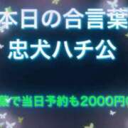 ヒメ日記 2026/04/08 12:23 投稿 れおな 変態なんでも鑑定団
