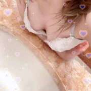 ヒメ日記 2025/11/29 01:19 投稿 とうり サティアンまーと