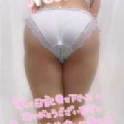 ヒメ日記 2025/12/27 13:06 投稿 朝日　のあ 夜這い専門 発情する奥様たち梅田店