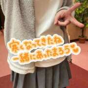 ヒメ日記 2026/01/31 09:56 投稿 朝日　のあ 夜這い専門 発情する奥様たち梅田店