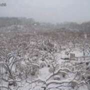 ヒメ日記 2026/02/08 09:43 投稿 舞(まい) MERMAID～マーメイド～