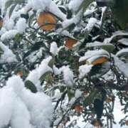 ヒメ日記 2026/02/08 10:27 投稿 舞(まい) MERMAID～マーメイド～