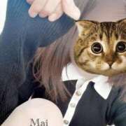 ヒメ日記 2026/02/22 09:13 投稿 舞(まい) MERMAID～マーメイド～