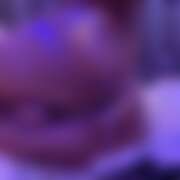 ヒメ日記 2026/03/06 16:37 投稿 黒瀬もか KAGUYA（かぐや）