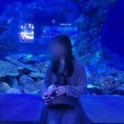 ヒメ日記 2025/11/13 21:39 投稿 宮原ことね HYPER TOKYO