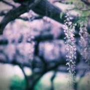 ヒメ日記 2025/12/25 11:15 投稿 神谷舞花 五十路マダムアネックス泉大津店