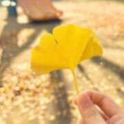 ヒメ日記 2025/11/20 23:45 投稿 森下まゆ セカンドパートナー