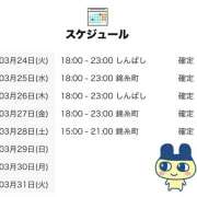 ヒメ日記 2026/03/24 15:00 投稿 すい 世界のあんぷり亭 新橋店