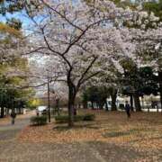 さゆり 3週間ぶり 丸妻 厚木店