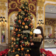 ヒメ日記 2025/12/18 17:31 投稿 まみ ドリーム水戸