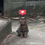 ヒメ日記 2026/01/26 09:38 投稿 み ね☆業界未経験 奥さま日記（大洲店）