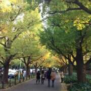 おとは インフルエンザ 半熟ばなな 品川