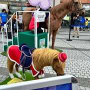 ヒメ日記 2026/06/06 12:27 投稿 よしの 半熟ばなな 品川