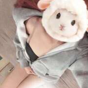 ヒメ日記 2026/01/21 17:20 投稿 ユリ いたずらバニーちゃん