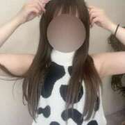 ヒメ日記 2026/02/12 12:03 投稿 山下ゆあ 渋谷ミルク