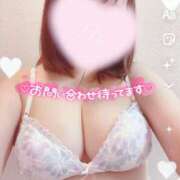 ヒメ日記 2025/11/15 09:53 投稿 ひなた サマンサ 堺店