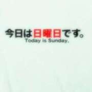 ヒメ日記 2024/02/11 09:22 投稿 えりな 人妻美人館