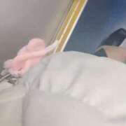 ヒメ日記 2026/02/21 16:51 投稿 あかね 柏人妻花壇