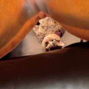 ヒメ日記 2026/04/18 23:23 投稿 あかね 柏人妻花壇