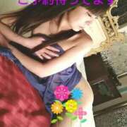 ヒメ日記 2025/03/16 02:21 投稿 かおり 人妻美人館