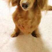 ヒメ日記 2025/04/11 14:51 投稿 かおり 人妻美人館