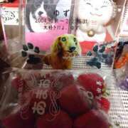 ヒメ日記 2025/04/19 02:29 投稿 かおり 人妻美人館