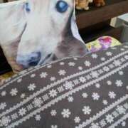 ヒメ日記 2025/04/25 13:11 投稿 かおり 人妻美人館