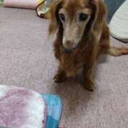 ヒメ日記 2025/05/15 16:04 投稿 かおり 人妻美人館