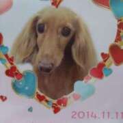 ヒメ日記 2025/05/18 18:00 投稿 かおり 人妻美人館