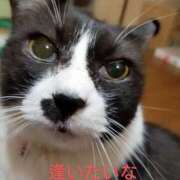 ヒメ日記 2025/05/29 00:39 投稿 かおり 人妻美人館